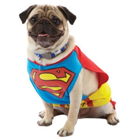 17 Best images about Dogs in Superhero costumes on Pinterest | Animaux ...