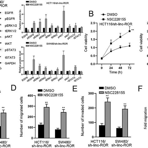 Linc Ror Regulated Crc Cell Biological Processes Via Egfr Signaling