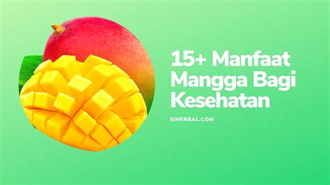 Manfaat Buah Mangga Bagi Kesehatan Si Herbal