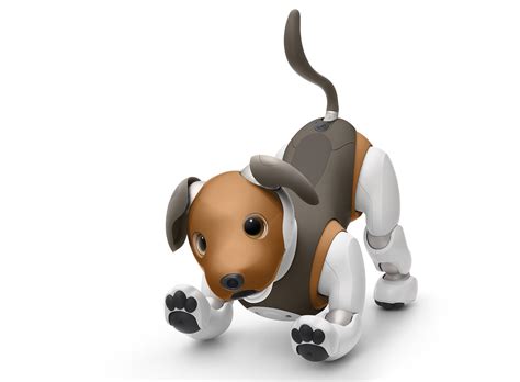 Sony Aibo Chocolate Edition Arrives As Robot Pup Turns Guard Dog