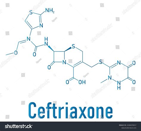 Skeletal Formula Ceftriaxone Antibiotic Drug Molecule Stock Vector