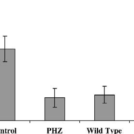 Duodenal Expression Of Dcytb DMT1 IRE And Ferroportin In Hpx Mice