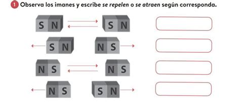 excepto por El camarero Cerebro los imanes se atraen Articulación