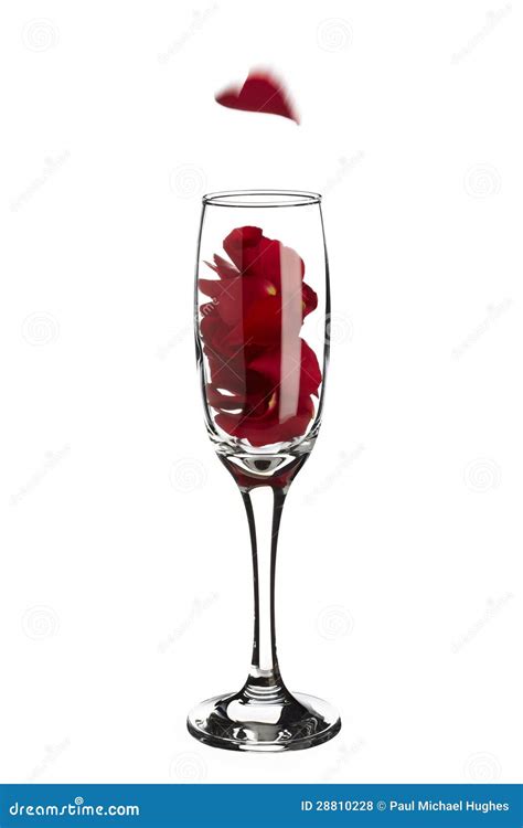 Red Rose Petals Inside Champagne Glass With Falling Heart Shaped Stock