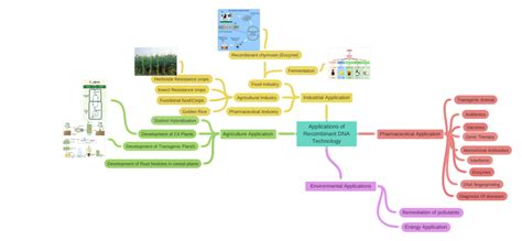 Applications of Recombinant DNA Technology - Coggle Diagram