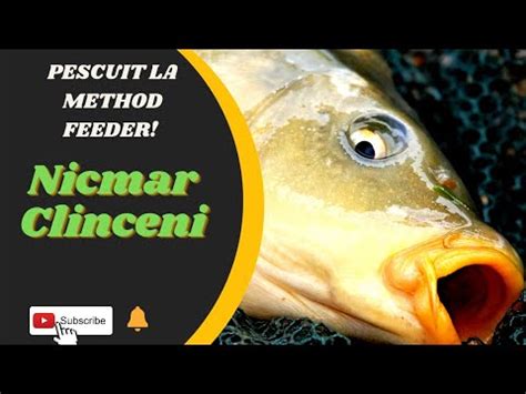 Partida De Pescuit La Method Feeder Pe Lacul Nicmar Clinceni YouTube