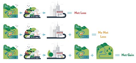 Biodiversity Net Gain Explained Without Jargon Biodiversify