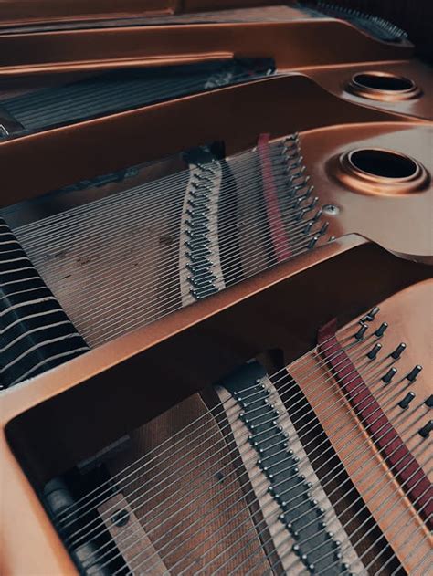 Piano Strings · Free Stock Photo