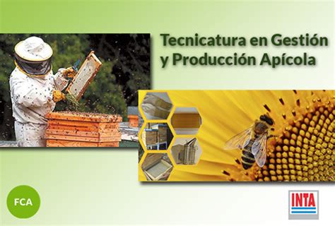 Gesti N Y Producci N Ap Cola Una Propuesta Con Proyecci N