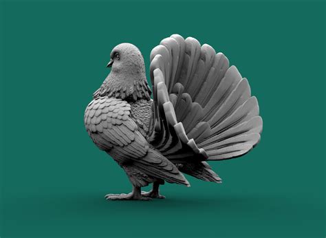 ArtStation - pigeon | Resources