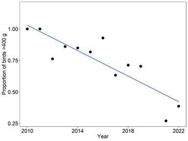 NEW PAPER: Long-term decline in fledging body condition of seabirds ...