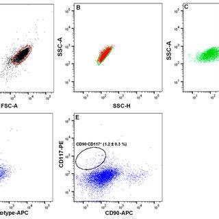 Fluorescence-activated cell sorting (FACS) images demonstrating the ...