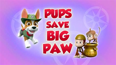 The Best Episodes Of Paw Patrol Season 5 Episode Hive