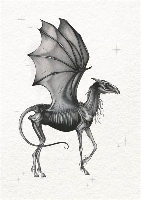 Thestral Harry Potter Hogwarts Art Print on White Hammered - Etsy