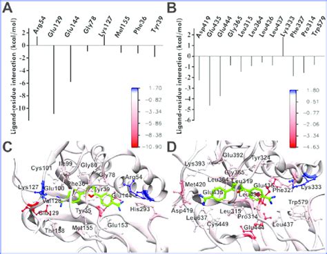 Predicted Binding Modes Of Compound In Prmt And Prmt From Docking