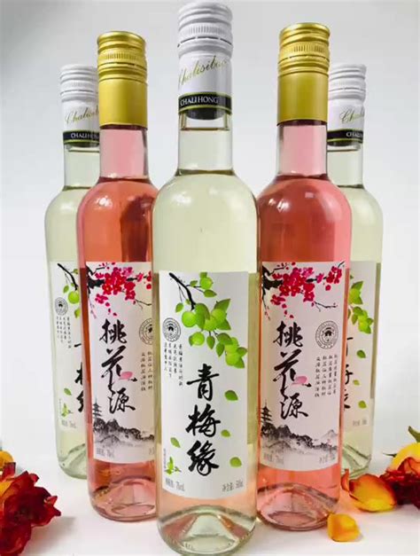 桃花酒小青梅水果酒500ml 冰爽甜红酒oem代加工定制露酒