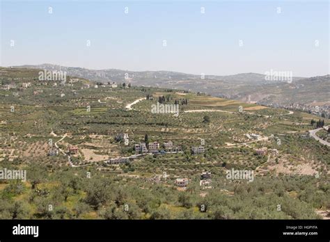 Palestine Landscape