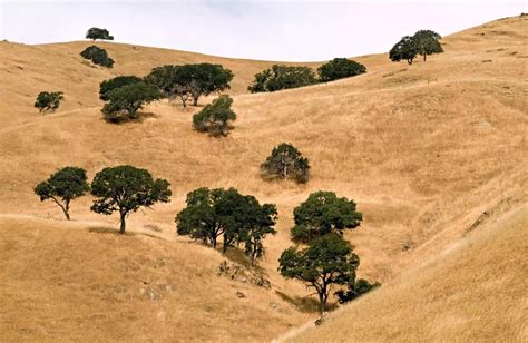 The chaparral biome is often misunderstood