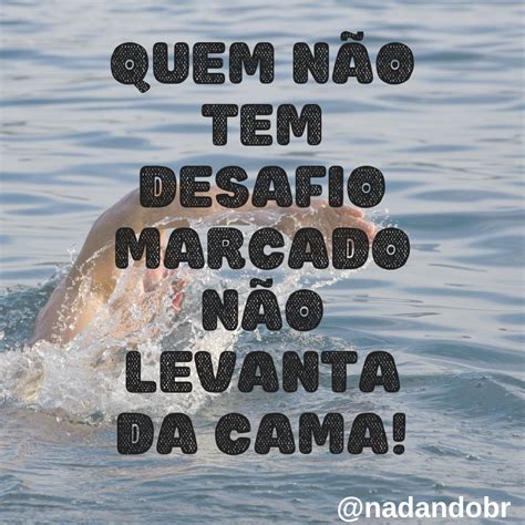 Frases Motivacionais Natacao Ideas In Palavrasdemotivacao