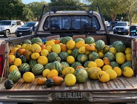 6 Austin Farmers Markets Visit Austin Tx