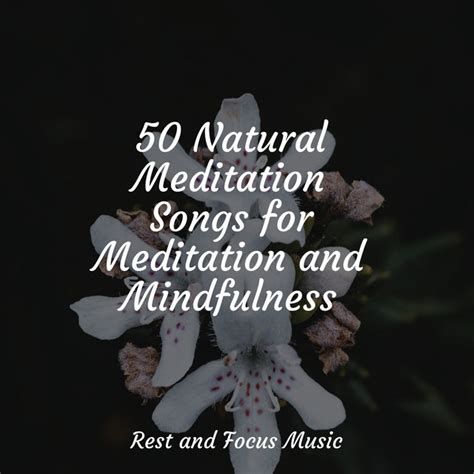 Natural Meditation Songs For Meditation And Mindfulness Album By