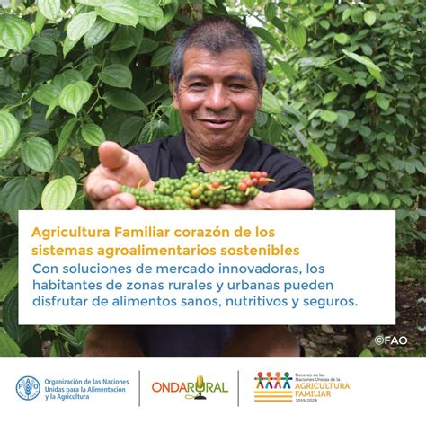 FAO Ecuador On Twitter RT Ondarural Los Agricultores Familiares