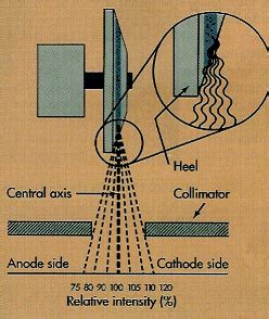 X Ray Tube Flashcards Quizlet