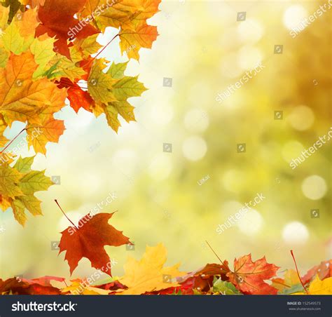 Fall Leaves PowerPoint Background