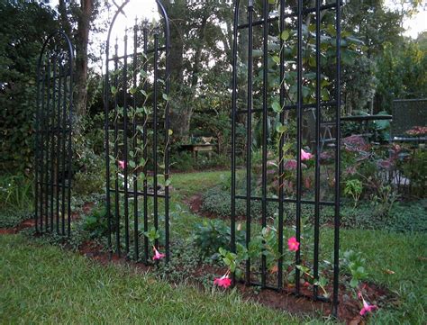 Tall Garden Trellis Ideas On Foter