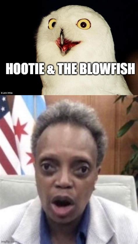 Hootie And The Blowfish Imgflip