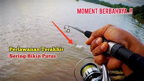 Waktu Yang Tepat Untuk Mancing Kakap Putih Di Muara Sungai Youtube