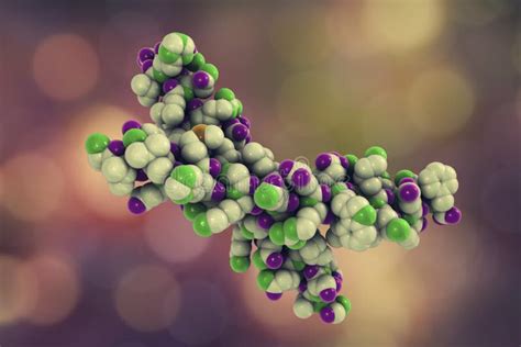 Human Parathyroid Hormone Molecular Model Stock Illustration