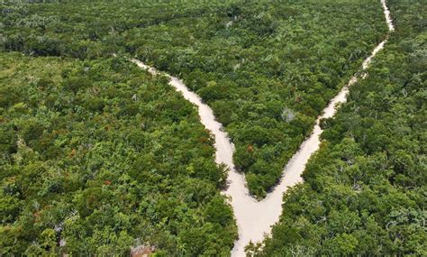 Kuyabeh Comunidad ecológica con hectáreas residenciales en Tulum Top