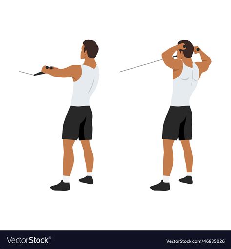 Man doing standing rope face pull cable face pull Vector Image