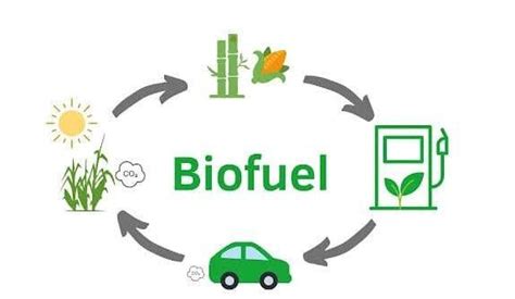 Indonesia Dan Jepang Berkolaborasi Ubah Limbah Pertanian Jadi Biofuel