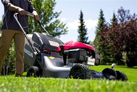 The Best Lawn Mowers To Buy In Yardening Pulse