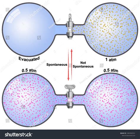 387 Spontaneous Processes Images, Stock Photos & Vectors | Shutterstock