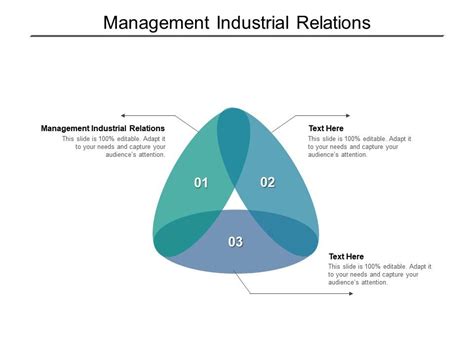 Management Industrial Relations Ppt Powerpoint Presentation Infographic