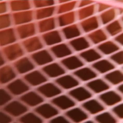 Whitney Wonders Red Haired Babe In Pink Fishnet