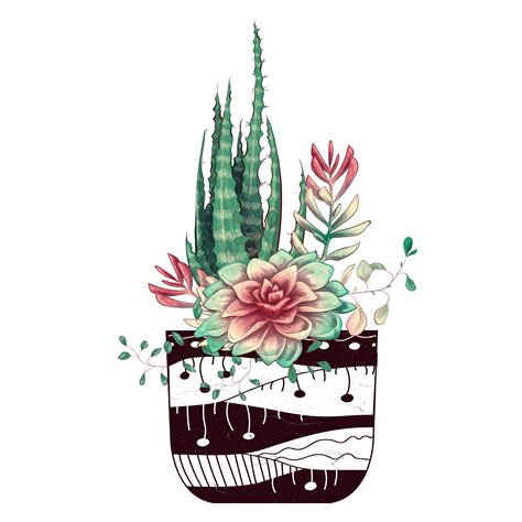 Card with cactuses and succulents set. Plants of desert. 490028 Vector