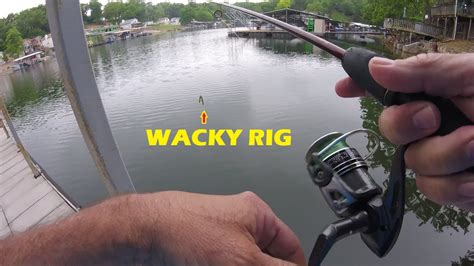 Catching Nice Bass On The Wacky Rig First Bass Ever On This Awesome