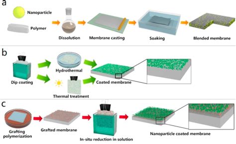 Scheme Of Different Preparation Methods To Fabricate Agnps Membranes