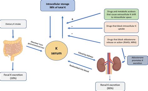 Frontiers | Hyperkalemia in CKD: an overview of available therapeutic strategies