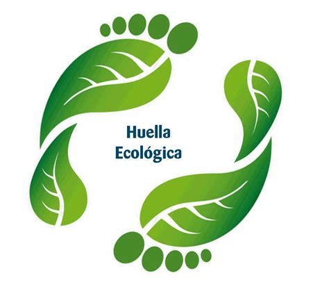 Expertos En Calcular La Huella Ecológica Actualia