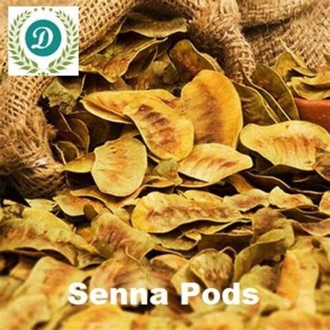 Green Sonamukhi Senna Leaves Grade Medicine Grade Packaging Size 30