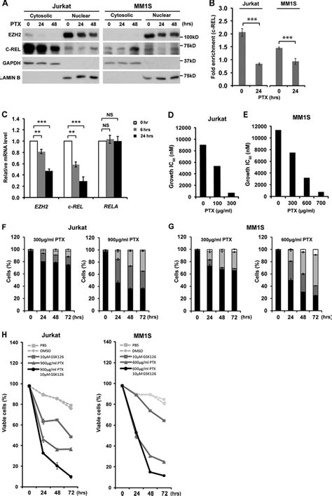 The Combination Of Ptx And The Ezh2 Inhibitor Gsk126 Effectively