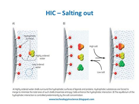 Hydrophobic interaction chromatography [HIC] Theory and Principle