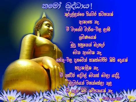 Pin by Nuwan Chamara on Dhamma Quotes | Novelty christmas, Christmas ...