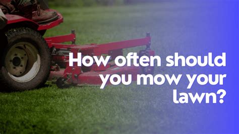 How Often Should You Mow Your Lawn FlatDEN