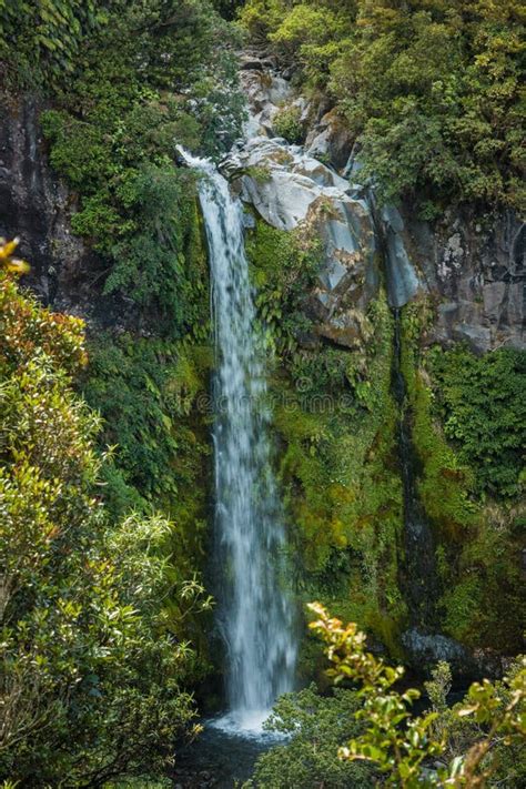 New Zealand Dawson Falls Stock Photos - Free & Royalty-Free Stock Photos from Dreamstime